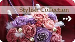 Stylish Collection