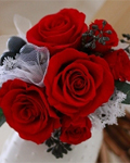 プリザーブドフラワー 真っ赤なバラのリストレット