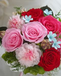 ピンクグラデーションとブルースターの贈呈用花束